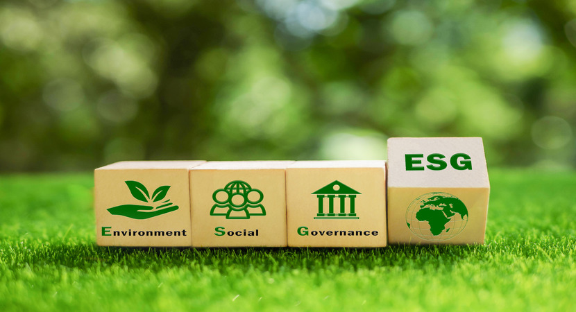 Blocks spelling out what ESG means (environment, social, governance)